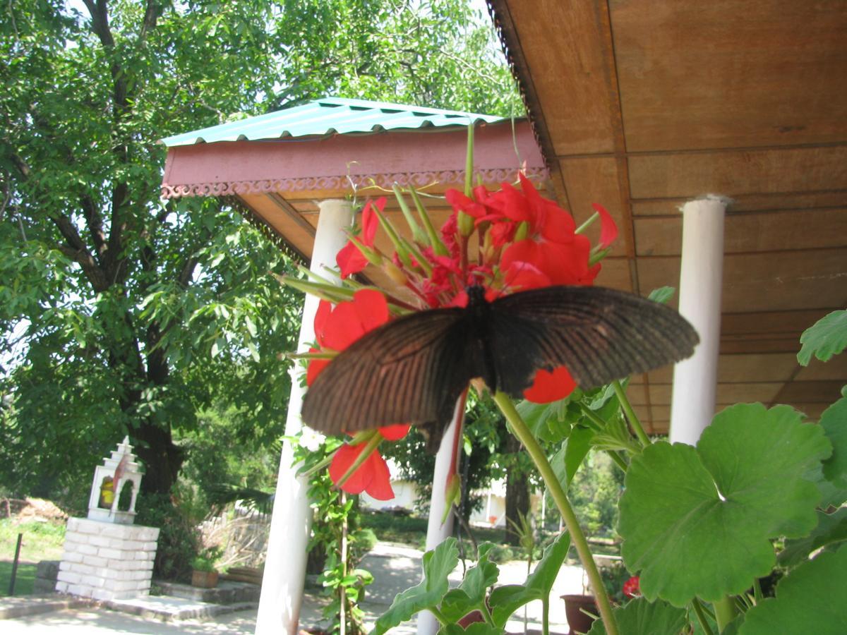 Tatva Bir Tents And Hotel Kangar Zewnętrze zdjęcie