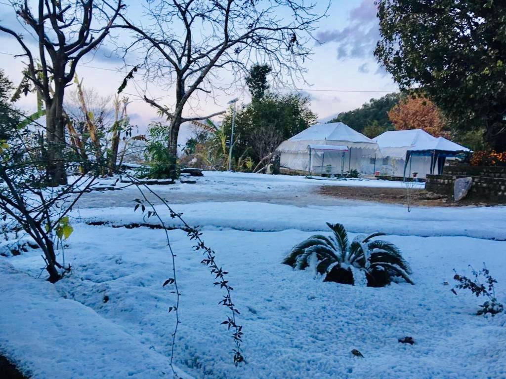 Tatva Bir Tents And Hotel Kangar Zewnętrze zdjęcie